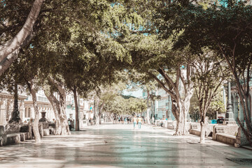 Paseo del Prado, Habana, Cuba