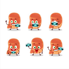Photographer profession emoticon with steak cartoon character