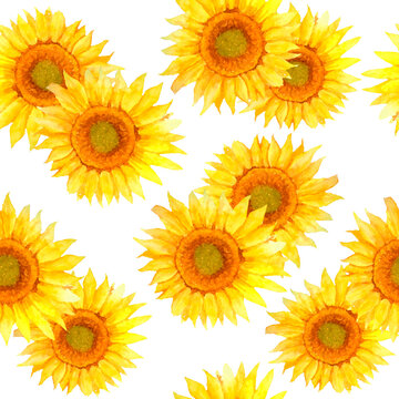 Watercolor seamless hand drawn pattern with realistic summer natural sunflowers flowers. Bright vibrant summer floral background. Retro decor, blooming nature. For textile wrapping paper wallpaper.