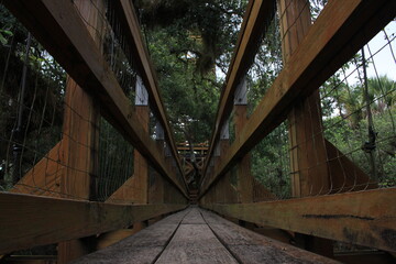 Fototapeta premium Wooden Bridge