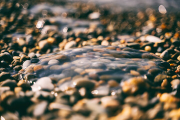 Obraz premium Close-up jellyfish lies on a pebble beach, sea background. Ecological environmental problems
