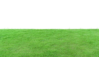 Green grass field isolated on white background.
