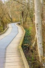 Fototapeta premium Wooden path at Deer Lake trail in Vancouver, Canada.