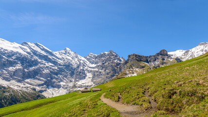 Fototapeta na wymiar Crossing the Alps. Hiking trail in the Alps. Murren. Switzerland.