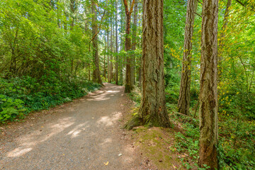 Fragment of Lake Cowichan trail in Nanaimo, Vancouver, Canada.
