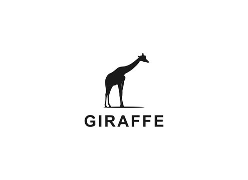 giraffe logo on white background