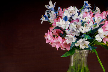 Alstroemeria flowers in glass vase on dark background.