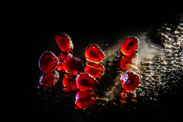 pomegranate seeds