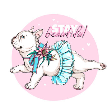 Cute french bulldog ballerina sketch. Dog in ballet tutu. Vector illustration in hand-drawn style. Stay beautiful illustration. Image for printing on any surface