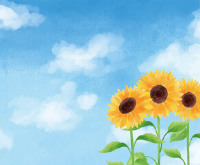 オレンシ 素材 フレーム 枠 Wall Mural Wallpaper Murals トワトワ オレンシ 素材 フレーム 枠 Wall Mural Wallpaper Murals トワトワ