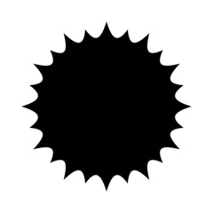 shine icon isolated on white background. Star icon vector illustration
