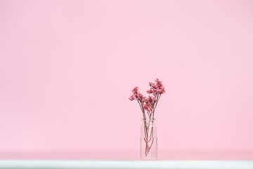 Bouquet of pink flowers in glass bottle on a pink background. Greeting card with empty place for your text