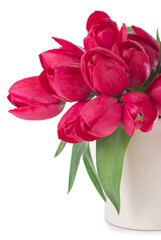 Bouquet of pink tulips on a light background