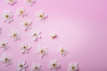 Fototapeta na wymiar Blurred delicate pink creative floral background.