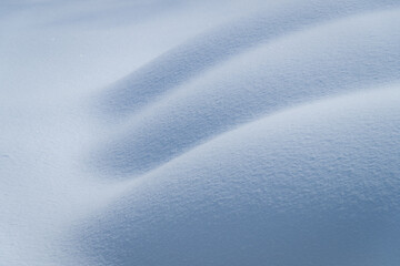 雪原のモコモコした凹凸
