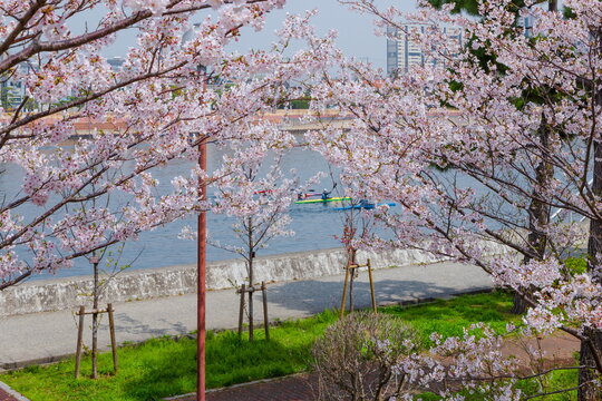 281 Best 芦屋市 Images Stock Photos Vectors Adobe Stock