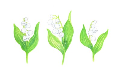 スズランの花の水彩画