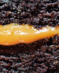 Close-up of chocolate cake with caramel filling