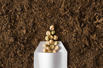 One white opened paper pack of dry pea seeds on fresh dark soil background. Closeup. Preparation...