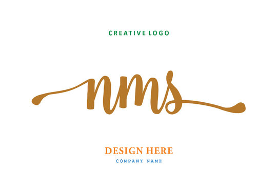 NMS lettering logo is simple, easy to understand and authoritative