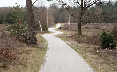 Fototapeta premium Bicycle trail in the Netherlands