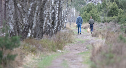 Man and woman walking with their dog in the forest