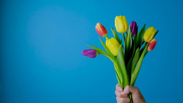 Bouquet of tulips. Man with a bouquet of tulips. Man's hand gives a bouquet of flowers. Fresh pink tulips. 4K Video Footage