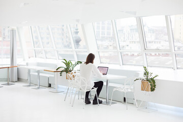 portrait of a business man working at a table in a laptop. phone and documents on the table. a man with a beard and long hair. filmed from behind
