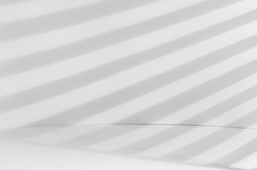 Obraz premium Bright spring fresh scene in sunny day with sunlight and striped shadow on white wall, elegant simple modern geometric background.