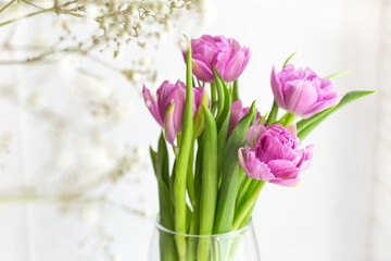 A beautiful bouquet of pink tulips and gypsophila in a vase by the window. Greeting card for mother's day, March 8 or wedding. Floristics, flower shop. The freshness of a spring morning. Copy space.