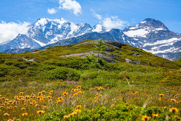 Picturesque panoramic view on Simplon pass in Switzerland