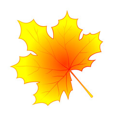 Autumn leaf vector