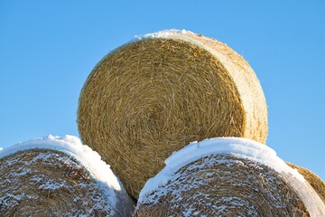 Stacked straw bales with snow in winter