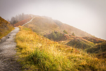 Fototapeta premium autumn in the mountains, alps, gastein valley, dorfgastein, fulseck, austria, hiking