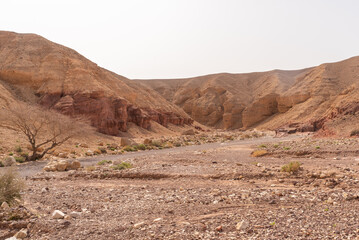 Red Canyon in southern Israel. natural rock formations.
