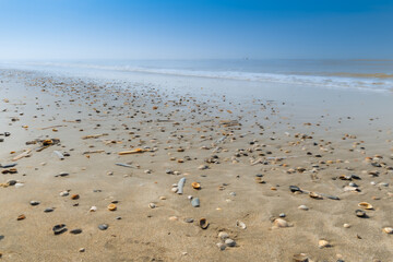 beach, shells, sands, blue sky, sea