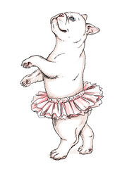 Cute french bulldog ballerina sketch. Dog in ballet tutu. Vector illustration in hand-drawn style. Image for printing on any surface
