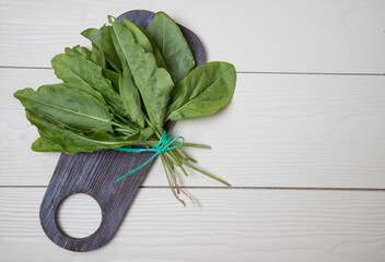 Top view of the leaves of garden sorrel spinach on a light background. Spring vitamins useful for...