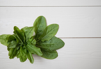 A bunch of leaves of garden sorrel spinach on a light background. The first spring vitamins.Copy space.