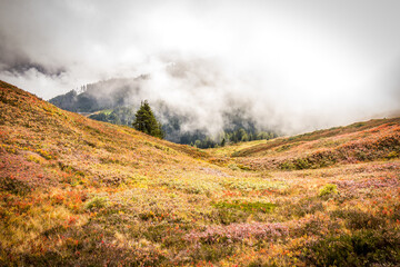 morning in the mountains, autumn colours, alps, hiking, gastein, dorfgastein, fulseck, austria