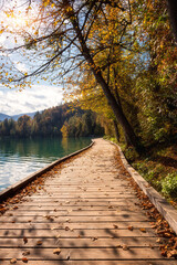 Tourist route on the wooden floor along the famous alpine Bled lake (Blejsko jezero) in Slovenia, amazing autumn landscape. Scenic view of the lake surrounded by forest, outdoor travel background
