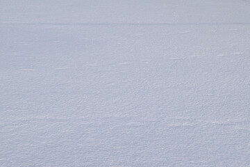 snow