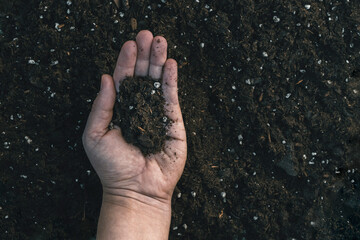 soil in hand for planting, top view, space for writing