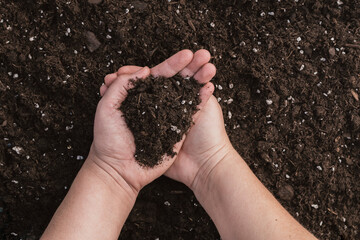 hands with soil, step prior to sowing, background soil