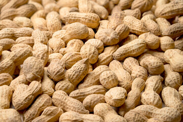 peanuts in a shell close - up for the whole frame