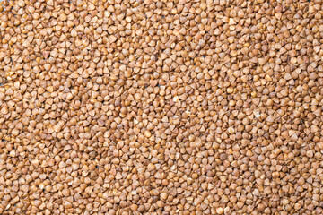 buckwheat seeds close-up for the whole frame