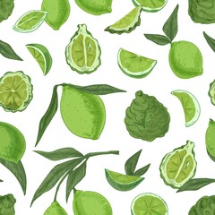 Seamless pattern with tropical limes and bergamots on white background. Endless repeatable texture with realistic green citrus fruits. Hand-drawn colored vector illustration for printing