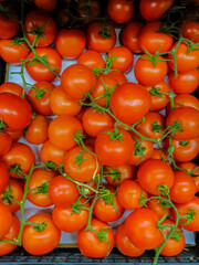 freshly cut rich red tomato