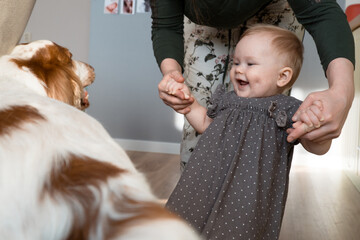 Little baby girl giggle and play with mother and dog, caucasian happy family with pet at home