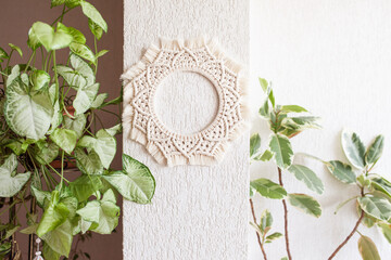 Cotton macrame mandala wall decoration hanging on white wall with green leaves. Handmade macrame...